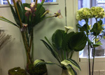 Berwick Florist, glassware